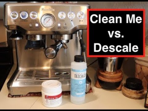 How To Clean/Descale Breville | Cleanestor