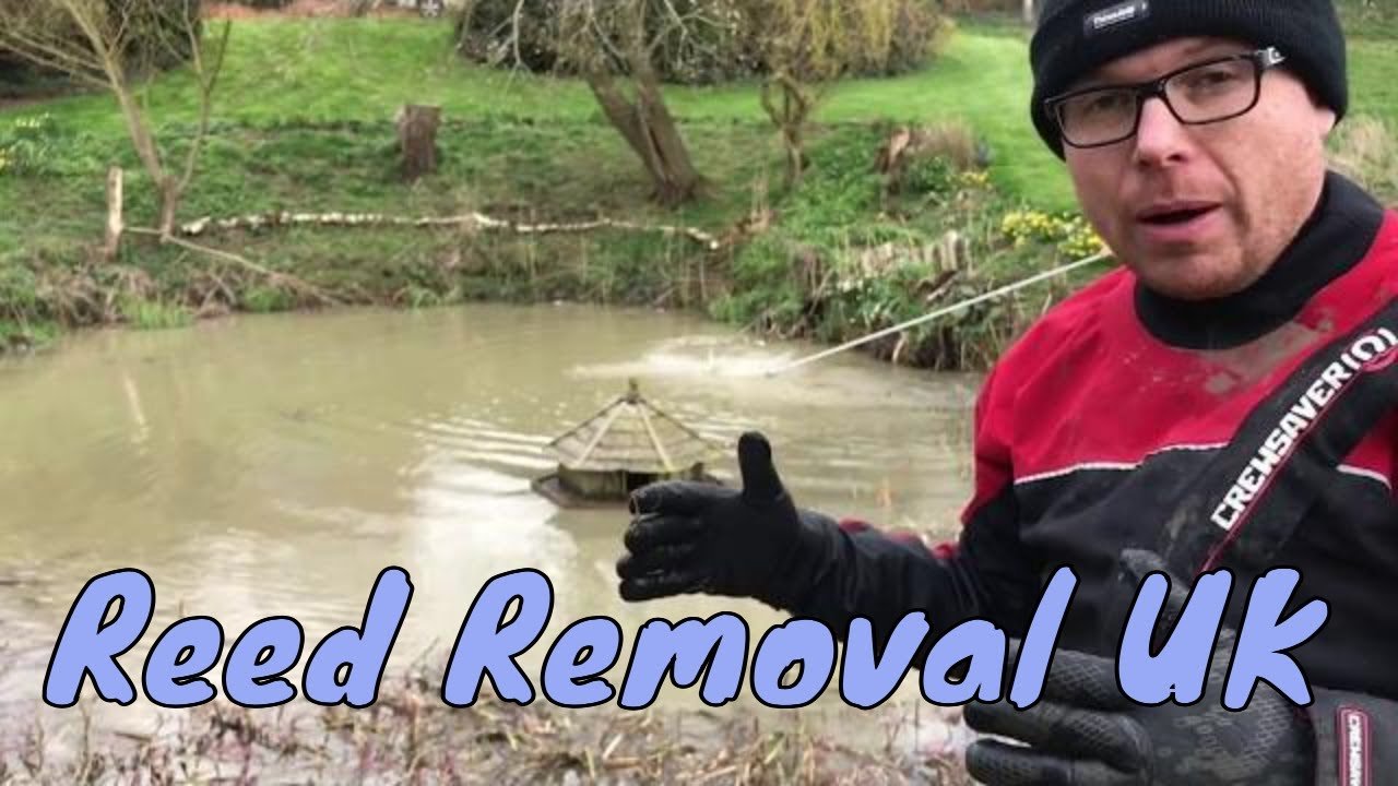 How To Clear Reeds From A Pond | Cleanestor