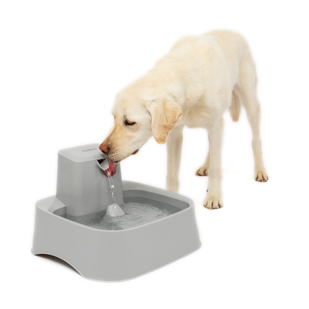 How To Keep Fountain Water Clean And Safe For Pets