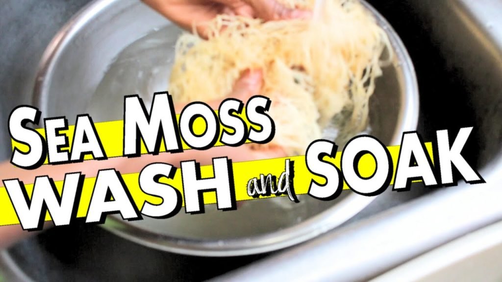 How To Properly Clean Sea Moss