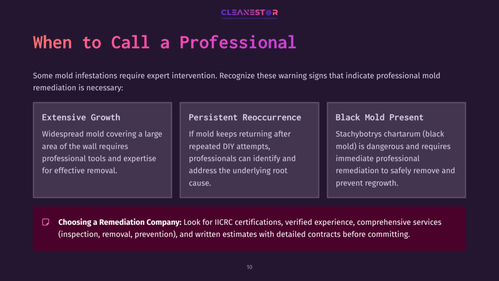 Text On A Dark Background Outlining Signs For Professional Mold Treatment, Featuring Bullet Points And A Highlighted Section For Remediation Tips.
