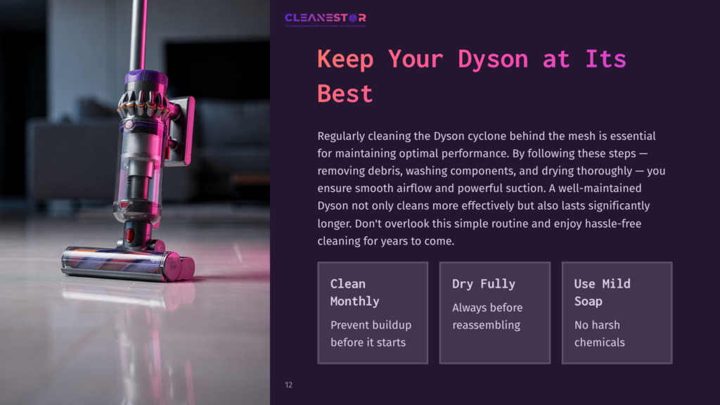 Purple And Silver Dyson Vacuum Cleaner Positioned Vertically, With A Bullet List Nearby Outlining Cleaning Tips And Recommendations.