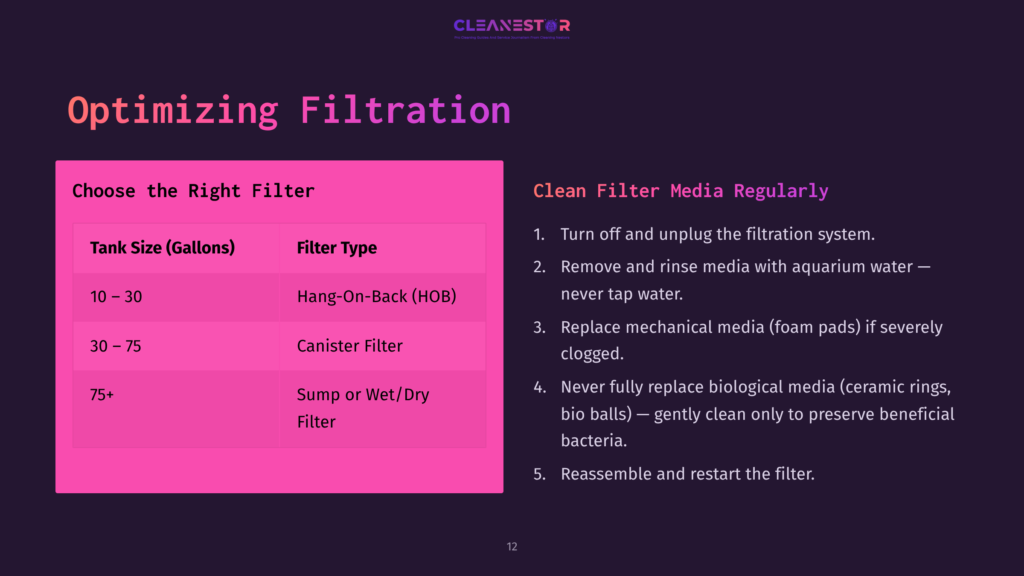 Pink And Purple Graphic Detailing Filtration System Options For Aquariums, With A Table Comparing Filter Types And Tank Size Recommendations.