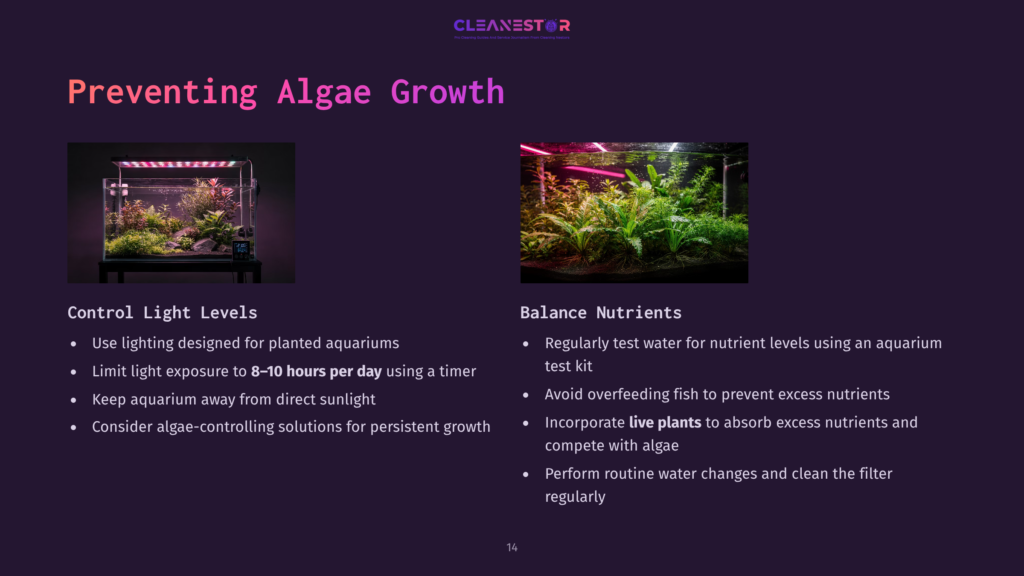 Split Image With A Dark Purple Background: Left Side Shows A Planted Aquarium With Vibrant Green Plants Under Pink Lighting; Right Side Lists Tips To Prevent Algae Growth.