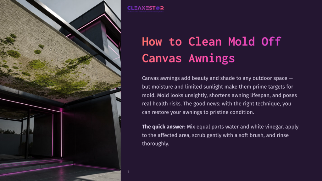 A Canvas Awning With Visible Mold And Water Droplets Hangs Above A Modern Entrance With Pink Neon Lights. The Text &Quot;Cleanestor&Quot; And &Quot;How To Clean Mold Off Canvas Awnings&Quot; Is Visible.