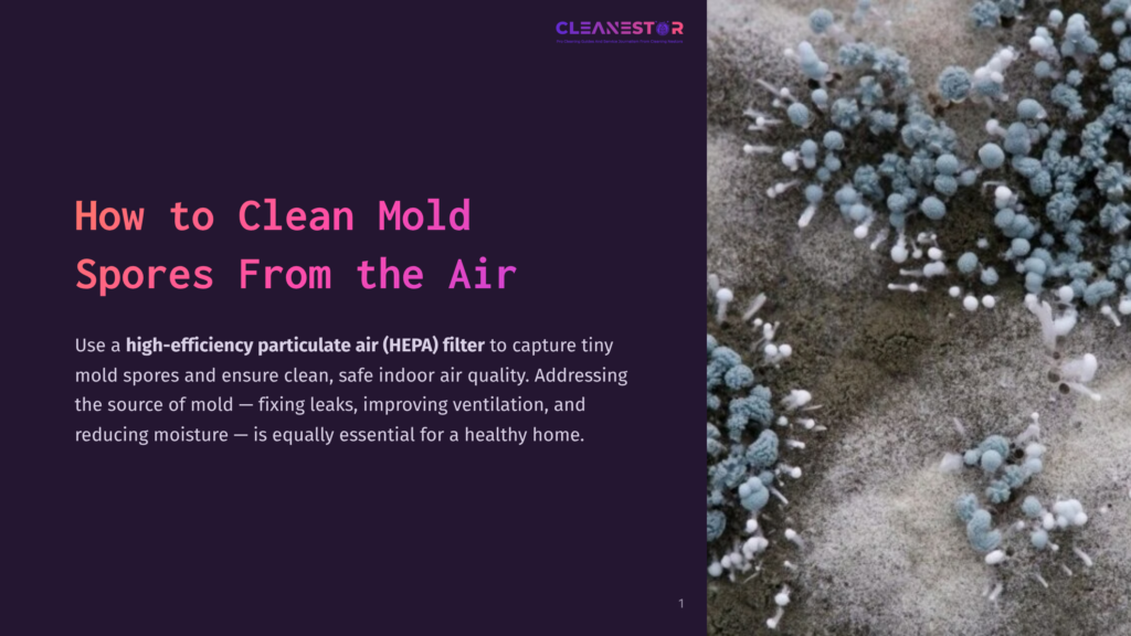 Close-Up Of A Textured Surface With Clusters Of Blue And Green Mold Spores, Highlighting The Need For A Clean Environment.