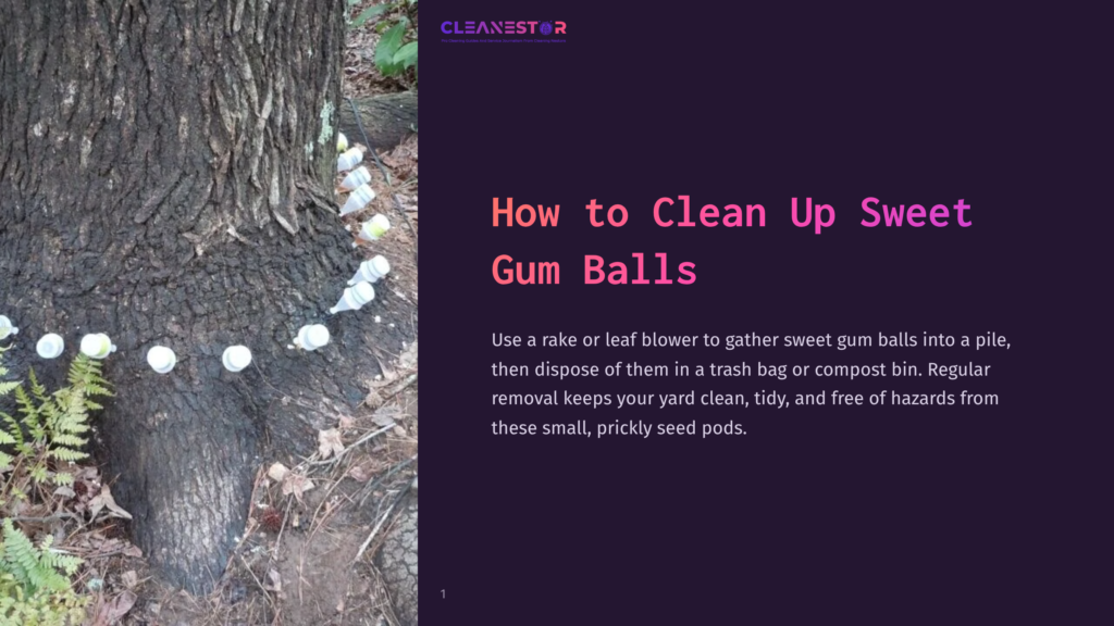 1 How To Clean Up Sweet Gum Balls White Paper Cups Filled With Sweet Gum Balls Are Lined Up Around The Base Of A Large Tree Trunk, With A Fern In The Foreground. The Cleanestor Logo Is Visible At The Top Of The Image.