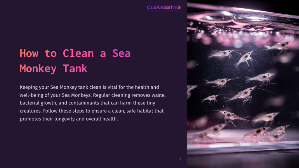 1 How To Clean A Sea Monkey Tank A Transparent Tank With Small Sea Monkeys Swimming Among Bubbles, Set Against A Dark Purple Background With White Text.