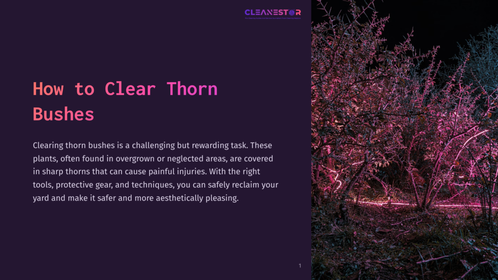 1 How To Clear Thorn Bushes A Dense, Thorny Bush Is Illuminated By Vibrant Pink And Blue Lights At Night, With The Text &Quot;Cleanestor&Quot; Visible At The Top.