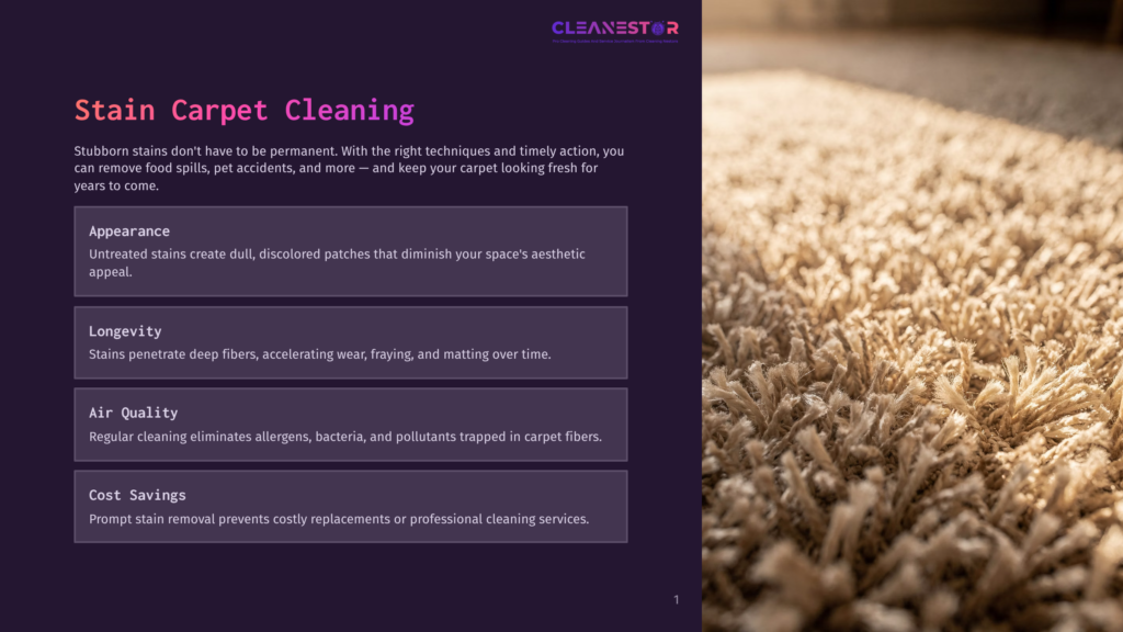 Close-Up Of A Beige, High-Pile Carpet With A Textured, Shaggy Appearance, Suggesting A Need For Professional Carpet Cleaning.
