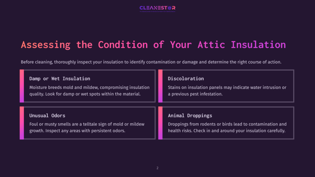 Infographic Listing Attic Insulation Issues: Dampness, Discoloration, Unusual Odors, And Animal Droppings, With Highlighted Sections And Icons.