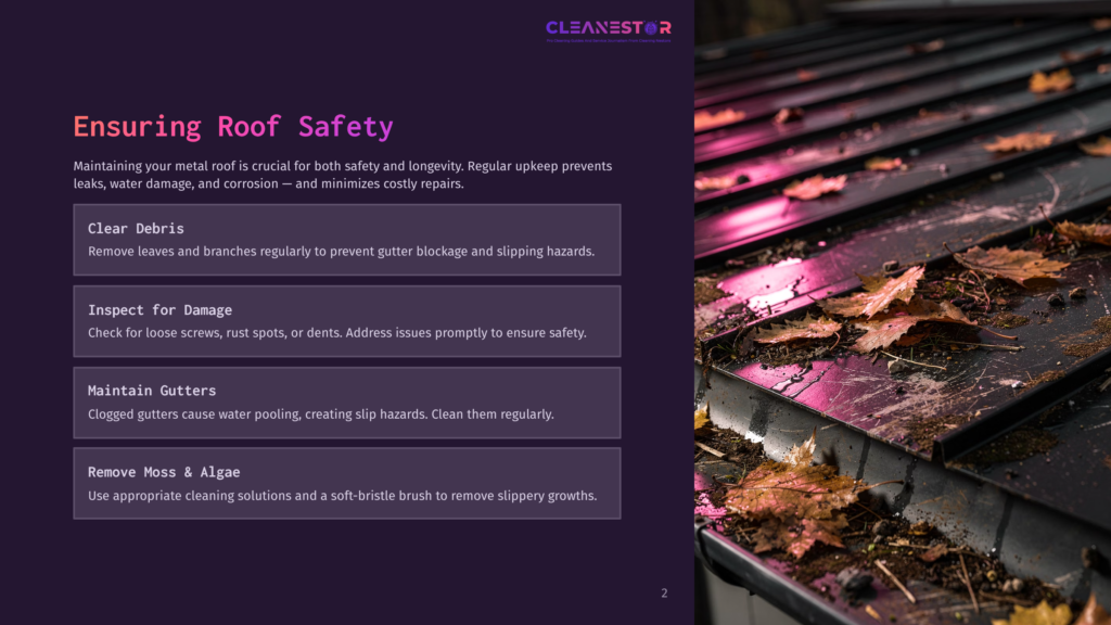 Metal Roof With Fallen Leaves And Debris, Featuring Tips On Roof Safety And Cleaning Methods. Dark Purple Background With White Text.