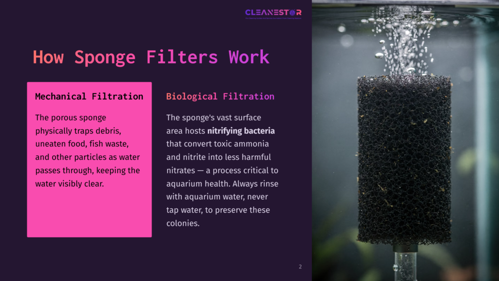 2 How Sponge Filters Work Close-Up Of A Black Aquarium Sponge Filter With Bubbles Rising From Its Surface, Illustrating How Sponge Filters Work For Mechanical And Biological Filtration.