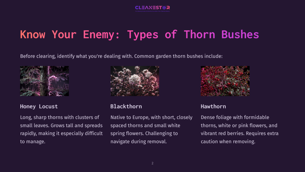 2 Know Your Enemy Types Of Thorn Bushes Three Types Of Thorn Bushes: Honey Locust With Long, Sharp Leaves; Blackthorn With Dense White Flowers; And Hawthorn With Red Berries. Text: Know Your Enemy: Types Of Thorn Bushes.