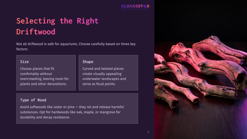 2 Selecting The Right Driftwood A Layout Featuring Pinkish Driftwood Pieces On A Dark Background, With Text Boxes Discussing Size, Shape, And Type Of Wood For Aquariums.