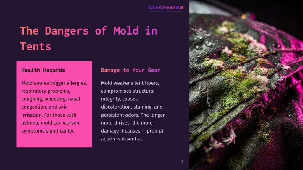Close-Up Of A Black Tent Fabric With Green Mold And Mildew Growth, Showing The Damage Mold Can Cause To Gear.