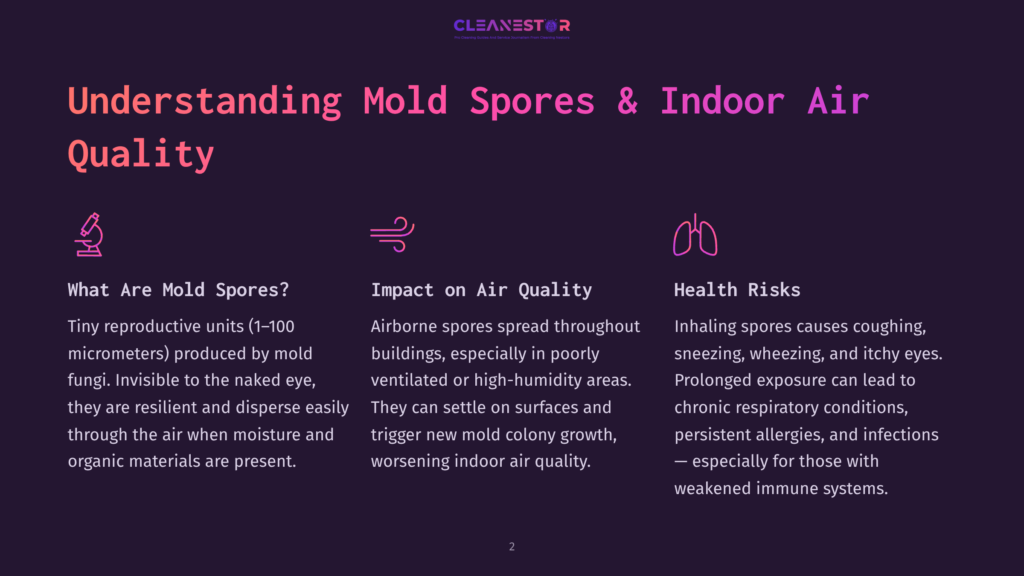 Text On A Dark Background Discussing Mold Spores, Their Impact On Air Quality, And Associated Health Risks, With A Clean Layout And Icons.