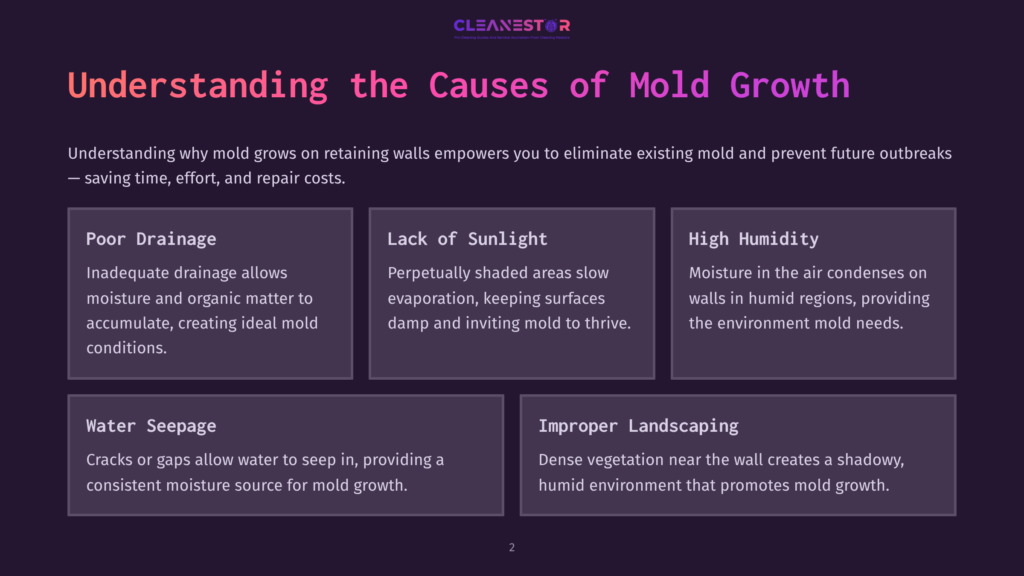 Infographic Outlining Causes Of Mold Growth On Retaining Walls, Featuring Sections On Drainage, Sunlight, Humidity, And Landscaping.