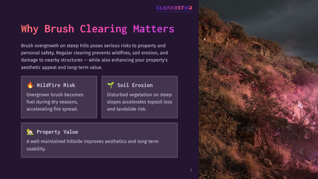 2 Why Brush Clearing Matters A Steep, Overgrown Hillside With Dense, Dry Brush And Scattered Pinkish-Purple Flowers, Suggesting A Wildfire Risk And Soil Erosion.