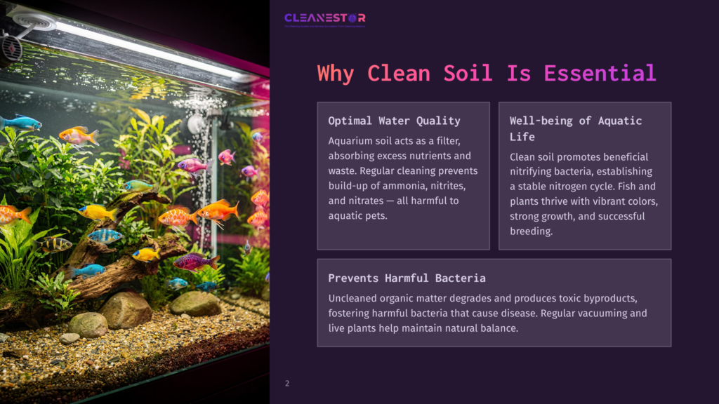 Vibrant Aquarium Filled With Colorful Fish And Plants, Showcasing Aquatic Life In A Well-Maintained, Natural Habitat.