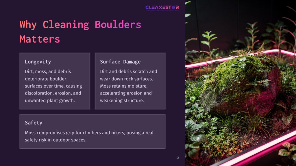 A Moss-Covered Boulder In A Vibrant Green Environment, Highlighted By Pink Led Lights, With Text Boxes Discussing Cleaning Importance.