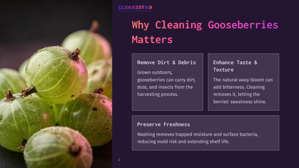 Close-Up Of Vibrant Green Gooseberries With Water Droplets, Against A Dark Background. Text Overlay Reads &Quot;Why Cleaning Gooseberries Matters&Quot; And Lists Benefits Like &Quot;Remove Dirt &Amp; Debris,&Quot; &Quot;Enhance Taste &Amp; Texture,&Quot; And &Quot;Preserve Freshness.