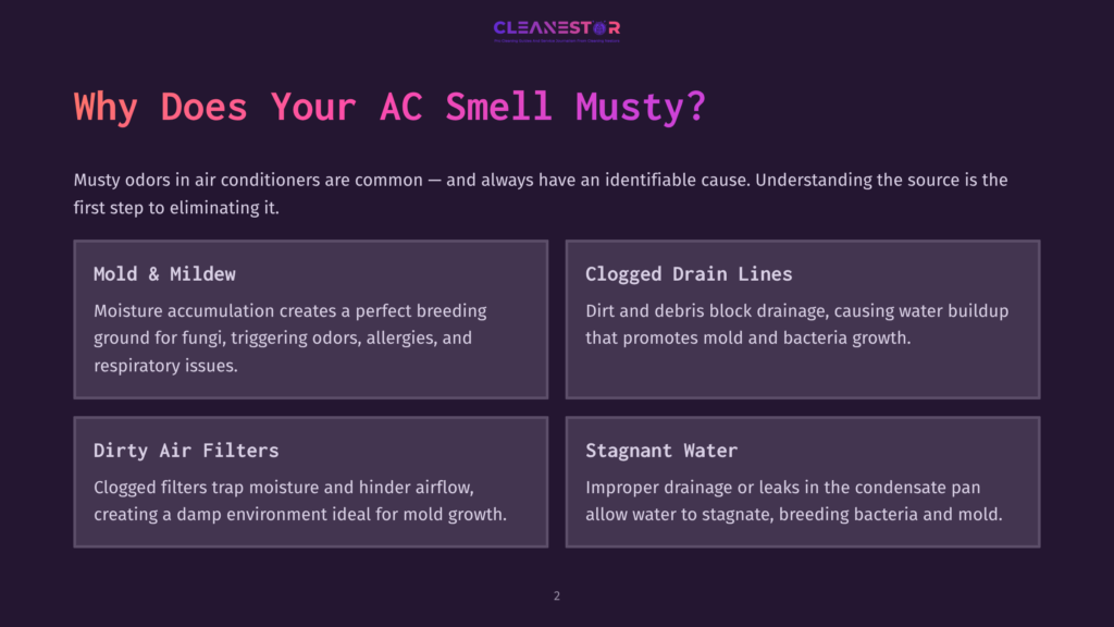 Infographic Titled &Quot;Why Does Your Ac Smell Musty?&Quot; Listing Four Causes: Mold &Amp; Mildew, Clogged Drain Lines, Dirty Air Filters, And Stagnant Water, With Brief Descriptions For Each.