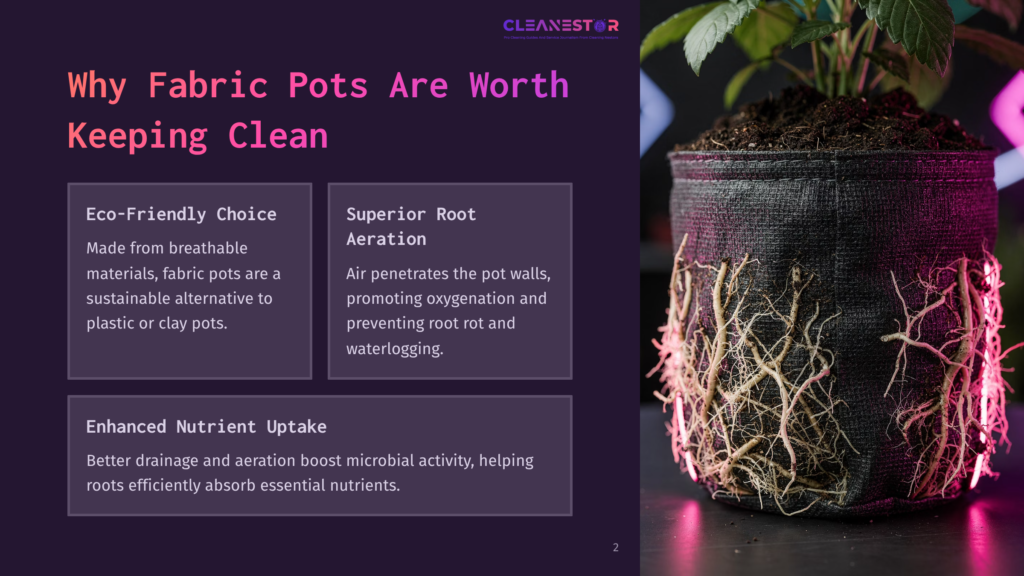 2 Why Fabric Pots Are Worth Keeping Clean A Black Fabric Pot With Visible Roots, Surrounded By Purple And Grey Text Boxes Detailing Benefits Like Eco-Friendliness And Nutrient Uptake.
