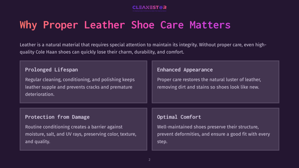 Infographic With The Title &Quot;Why Proper Leather Shoe Care Matters&Quot; And Four Sections: &Quot;Prolonged Lifespan,&Quot; &Quot;Enhanced Appearance,&Quot; &Quot;Protection From Damage,&Quot; And &Quot;Optimal Comfort,&Quot; Detailing Benefits Of Leather Shoe Maintenance.