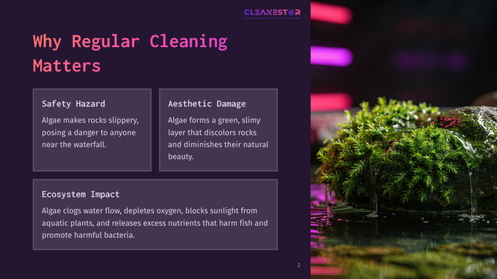 A Dark Purple Background Features Text Boxes Highlighting Safety Hazards And Ecosystem Impacts Of Algae, With Colorful Lights And A Mossy Rock Partially Submerged In Water.