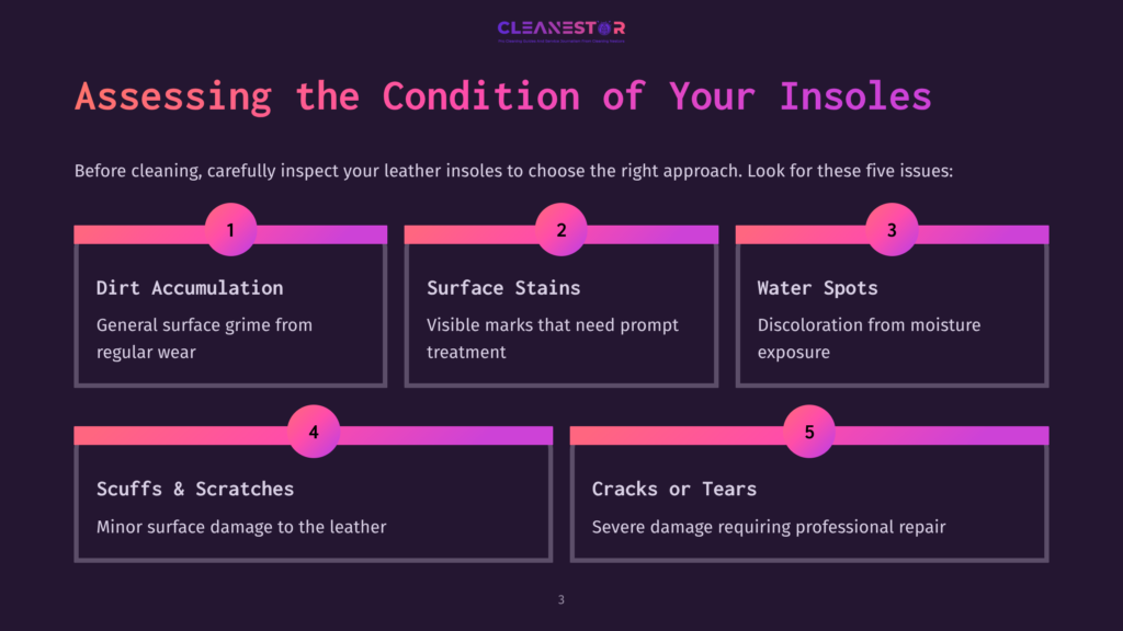Infographic Titled &Quot;Assessing The Condition Of Your Insoles&Quot; Outlining Five Common Issues: Dirt Accumulation, Surface Stains, Water Spots, Scuffs &Amp; Scratches, And Cracks Or Tears, With Brief Descriptions For Each.