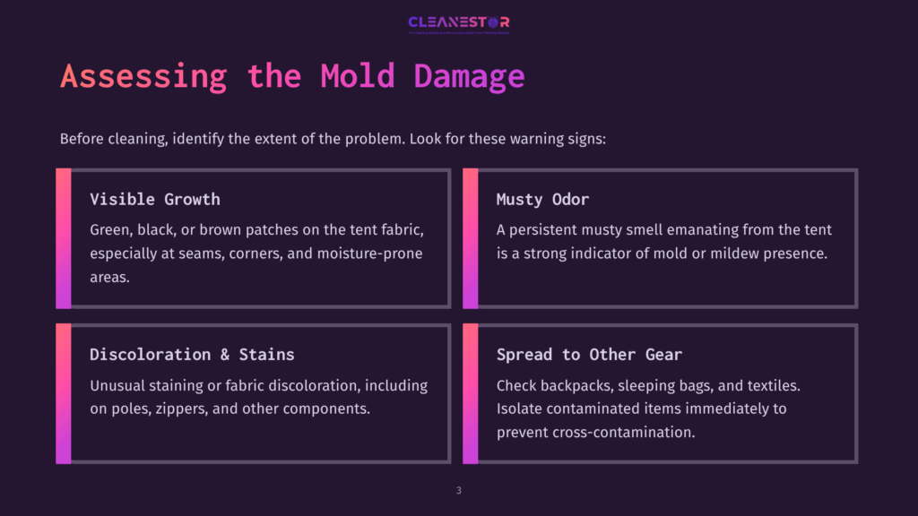 Slide Titled &Quot;Assessing The Mold Damage&Quot; With Four Quadrants Detailing Signs Of Mold: Visible Growth, Musty Odor, Discoloration &Amp; Stains, And Spread To Other Gear. The Cleanestor Logo Is At The Top.