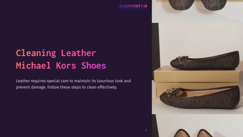 Dark Brown Michael Kors Shoes Displayed Beside A Tan Box, With Text About Cleaning Leather Footwear On A Dark Purple Background.