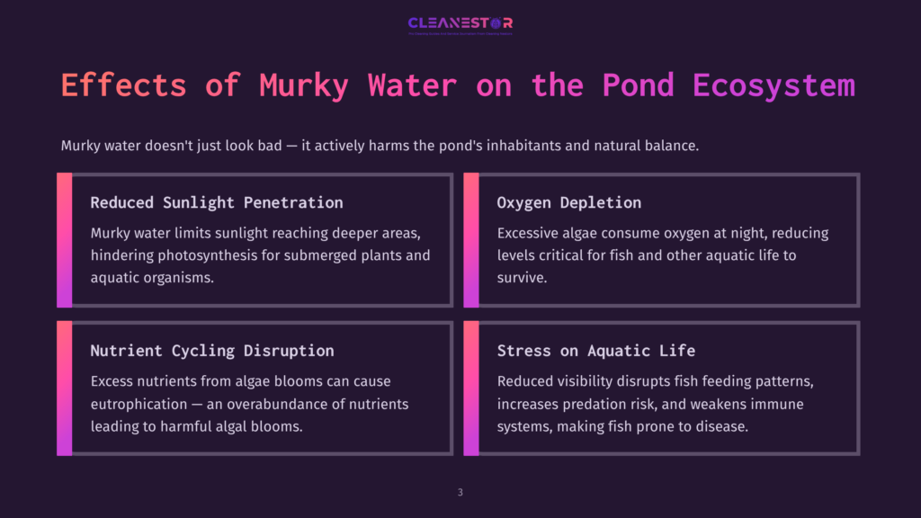 Infographic Detailing The Effects Of Murky Water On A Pond Ecosystem, Including Reduced Sunlight Penetration, Oxygen Depletion, Nutrient Cycling Disruption, And Stress On Aquatic Life.