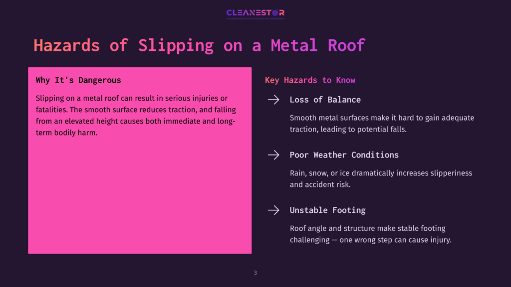 Text On A Bright Pink Background Highlights Hazards Of Slipping On Metal Roofs, With Bullet Points Detailing Loss Of Balance And Unstable Footing.