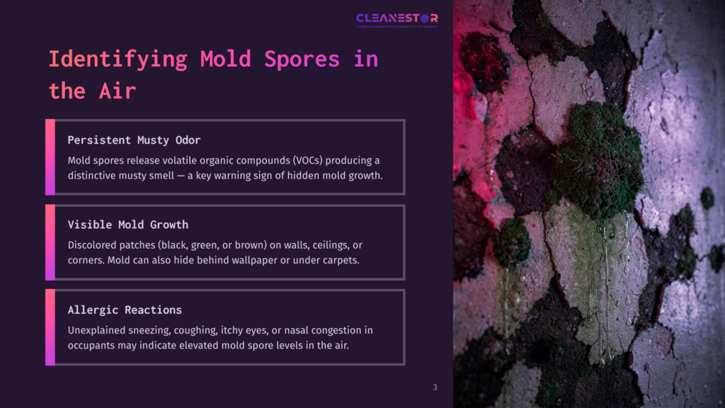 A Textured Wall Shows Green And Black Mold Patches, With Purple And Pink Lighting. Text Highlights Signs Of Mold Spores And Health Effects.