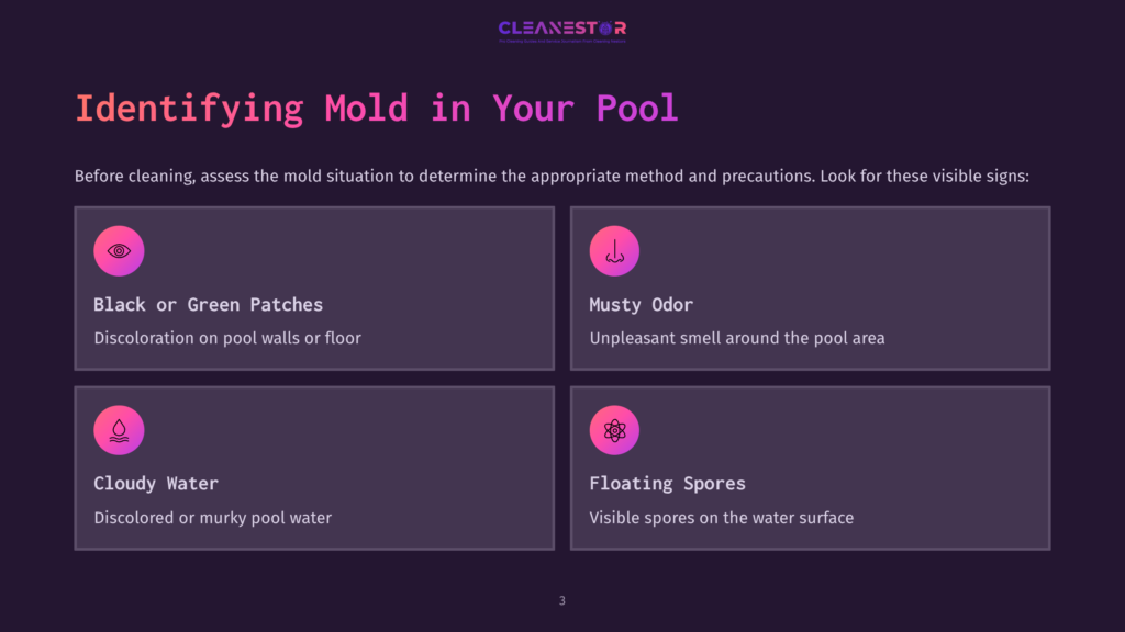 Colorful Graphic With Four Sections Highlighting Signs Of Mold In A Pool: Black/Green Patches, Musty Odor, Cloudy Water, And Floating Spores.