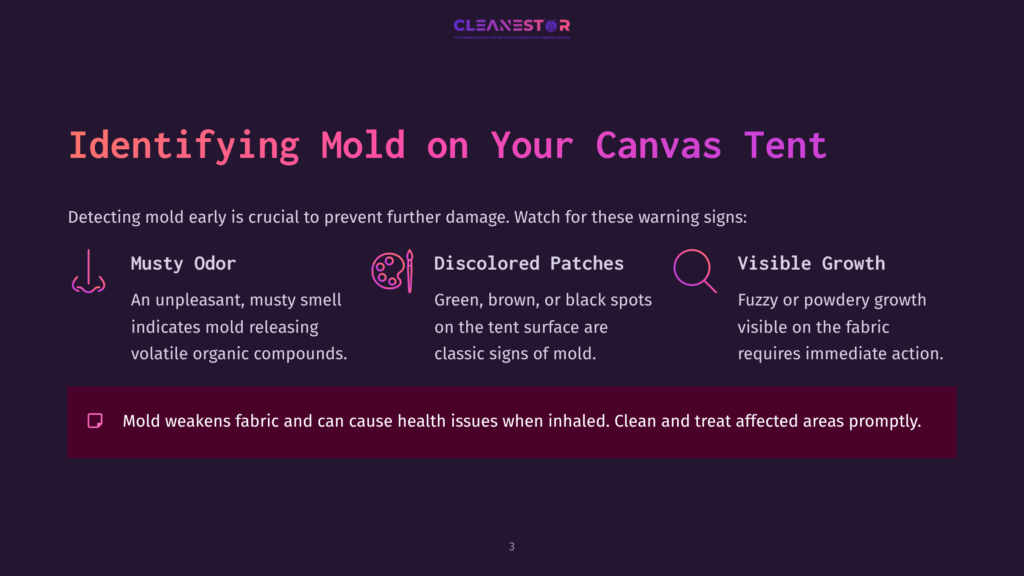3 Identifying Mold On Your Canvas Tent Text On A Dark Background Explains Mold Detection On Canvas Tents, Highlighting Musty Odor, Discolored Patches, And Visible Growth.
