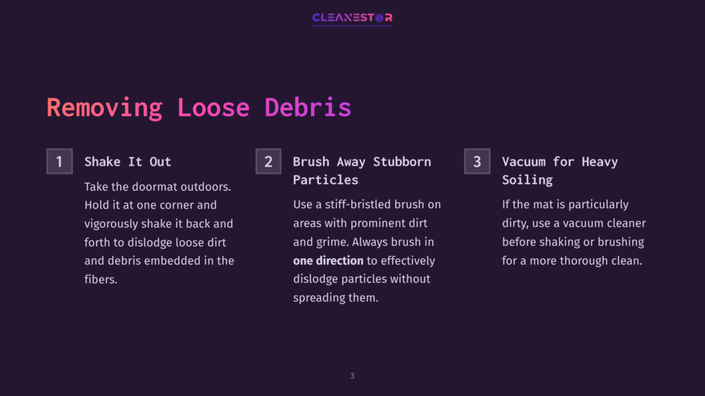 Illustration With Three Steps: Shaking Out A Mat, Brushing Debris, And Vacuuming. Text Is White On A Dark Purple Background.