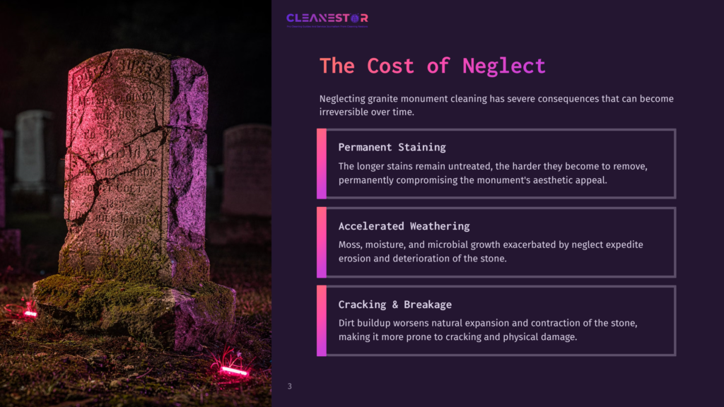 3 The Cost Of Neglect 1