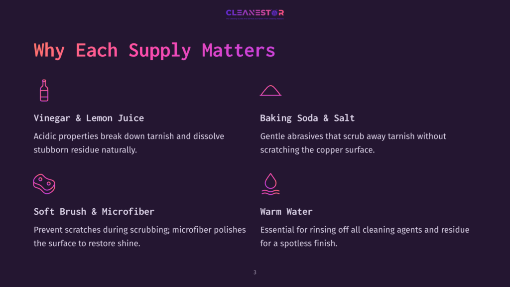 3 Why Each Supply Matters Infographic Titled &Quot;Why Each Supply Matters&Quot; From Cleanestor, Detailing Cleaning Supplies: Vinegar &Amp; Lemon Juice, Baking Soda &Amp; Salt, Soft Brush &Amp; Microfiber, And Warm Water, With Icons And Descriptions.