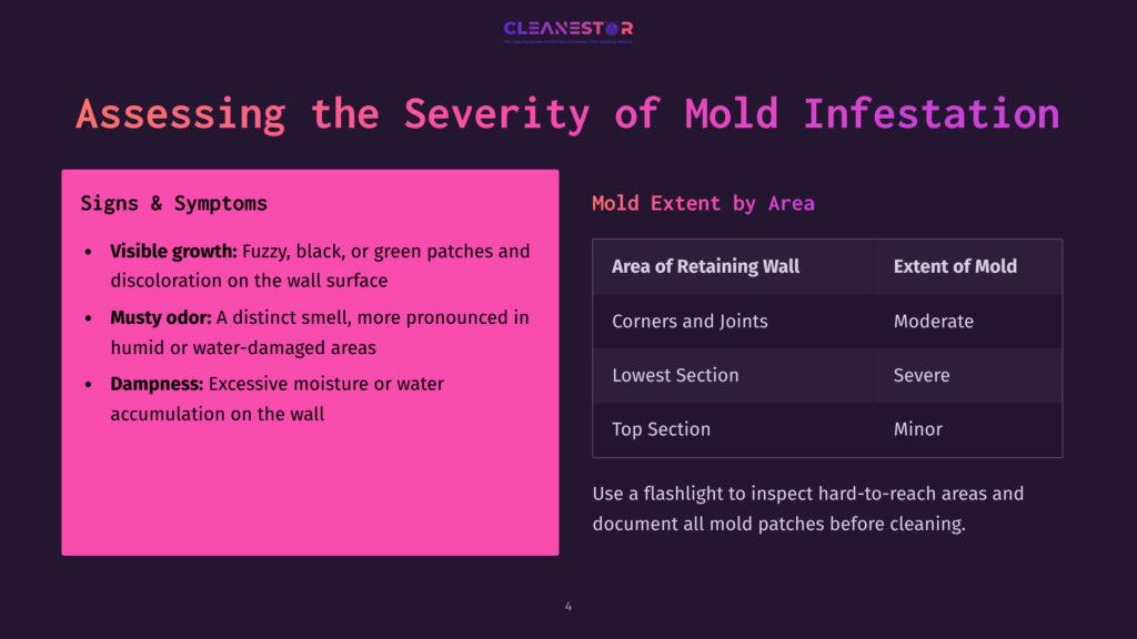 Text On A Purple Background Outlines Signs Of Mold, Including Visible Growth And Musty Odor, With Sections For Assessing Mold Severity On A Retaining Wall.
