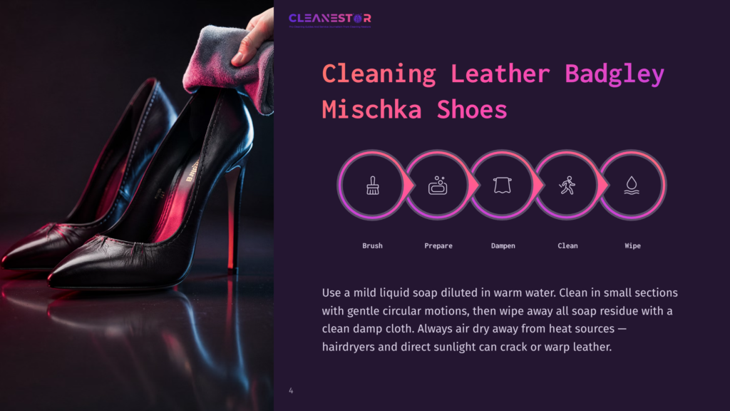 A Sleek Pair Of Black High-Heeled Shoes With Red Soles, Accompanied By Cleaning Instructions In A Purple And White Layout.