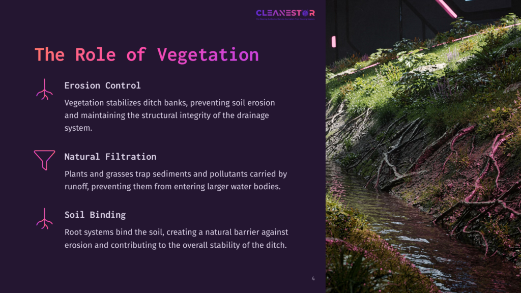 4 The Role Of Vegetation Cleanestor Logo. Text: The Role Of Vegetation. Features: Erosion Control, Natural Filtration, Soil Binding. Lush Green Plants And Roots Stabilize A Water Channel.
