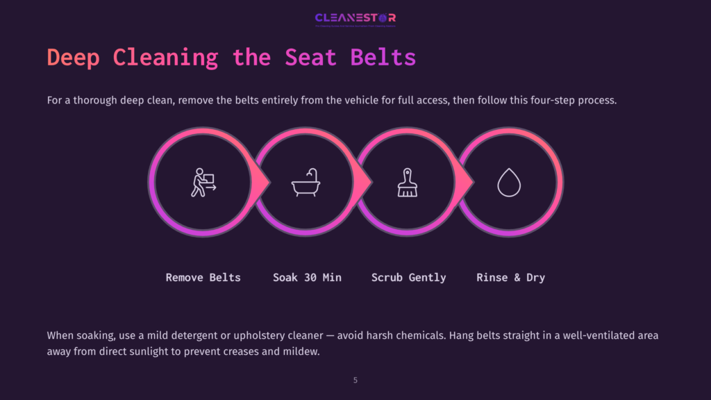 Four Pink Icons In A Circular Layout Illustrate Cleaning Steps For Seat Belts: Removing, Soaking In A Tub, Scrubbing, And Rinsing.