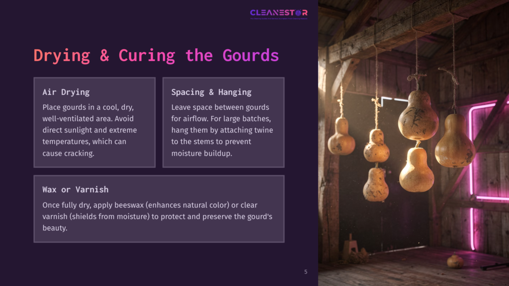 Dried Gourds Hang From A Wooden Beam In A Well-Lit Space, Showcasing Various Shapes; Text Outlines Drying And Curing Methods.