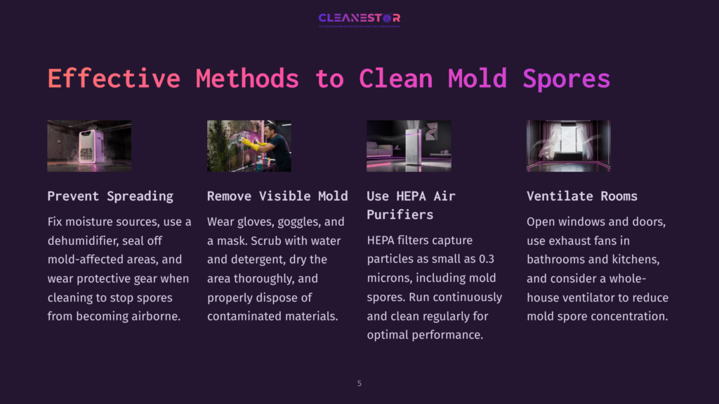 5 Effective Methods To Clean Mold Spores