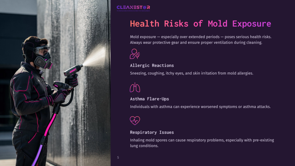 A Person In Protective Gear Sprays A Moldy Retaining Wall, Illustrating Cleaning Methods While Displaying Health Risk Information Nearby.