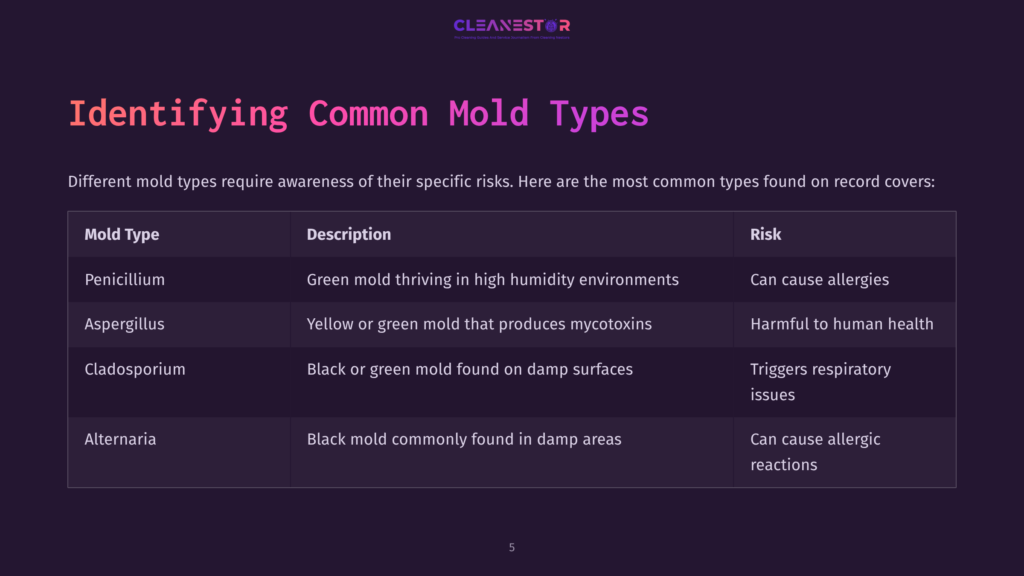 Table With Dark Background Listing Common Mold Types, Descriptions, And Associated Risks. Text Is In White And Shades Of Purple.