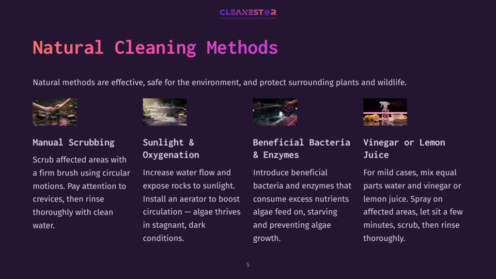 Four Clean, Organized Sections Outlining Natural Cleaning Methods For Waterfall Rocks Featuring Text And Icons, With A Pink And Purple Color Scheme.